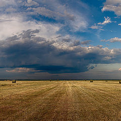 фото "В полях"