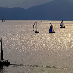 фото ""Dreaming over the Adriatic Sea...""