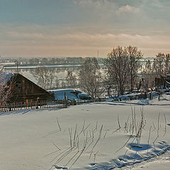 photo "Last frost"