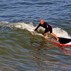 фото "The Surfer"