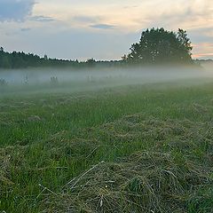 фото "Прокос"