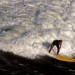 photo "The Surfer"