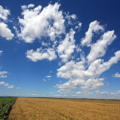 фото "Parade clouds II"