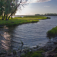 фото "у Днепра"