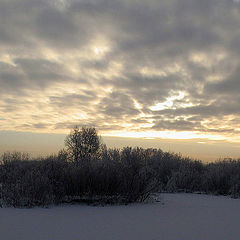 photo "December. Sunset."