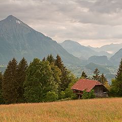 photo "une cabane dans les Alpes"