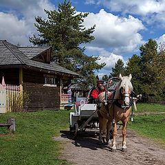 фото "а-ля-рюс))"