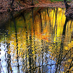 photo "Fall colors"