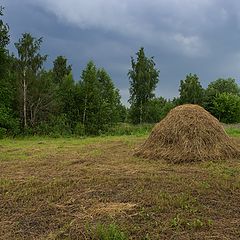 photo "July. Before thunderstorm."