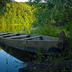 фото "Мне бы в море..."