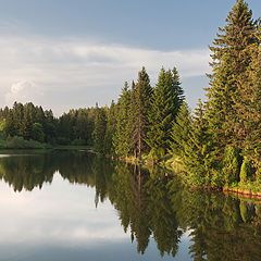 фото "Вечерние отражения"