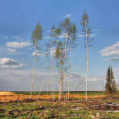 фото "Выжившие"