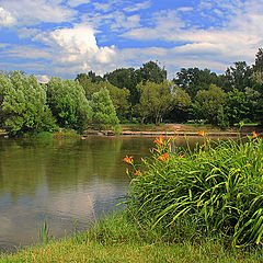 фото "Середина лета"