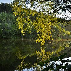 фото "Перед закатом"