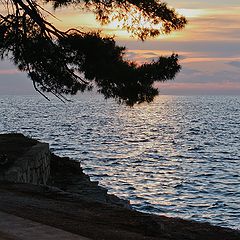 фото "Романтическая скамейка"