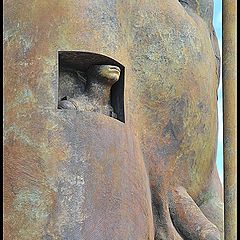 фото "Maninthemen"