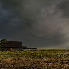 photo "Between clouds and sun"