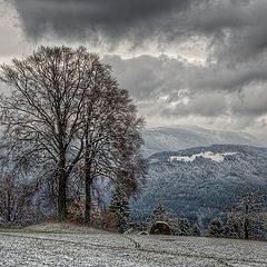 фото "первый снег"