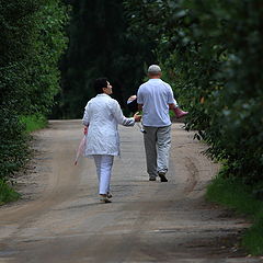 photo "Returning from walk"