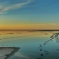 фото "По воде, аки по суху..."