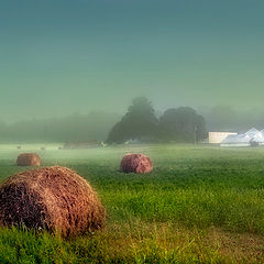 фото "Summer Morning"