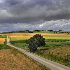 photo "The way to nowhere."