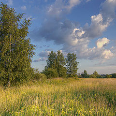 фото "Летний этюд"