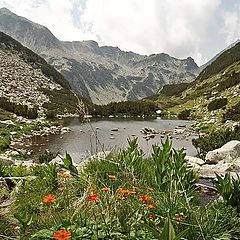 photo "Pirin"