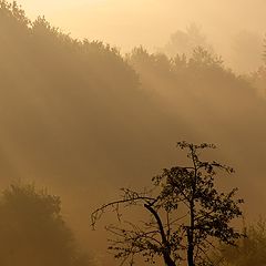 фото "Slovenian Summer"