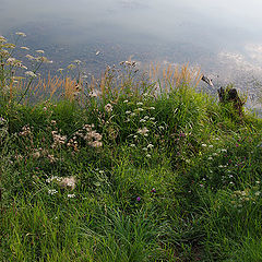 photo "***"