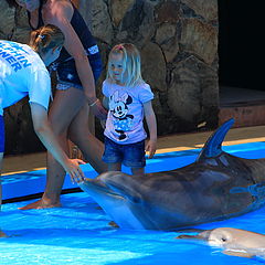 фото "Хочешь покататься на дельфине?"