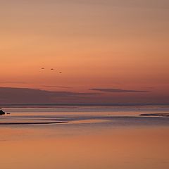 photo "Sea Castle"