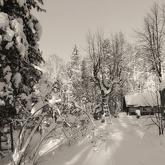 photo "***"