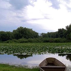 фото "Традиционный пейзаж с лодкой."