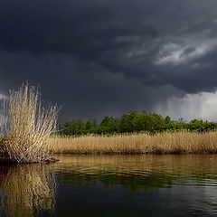 фото "Перед грозой"