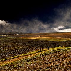 фото "watching the flock"