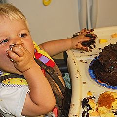 photo "Feeding His Face"