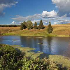 фото "Уголок деревенского озера"