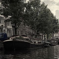photo "***"