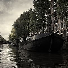 photo "***"