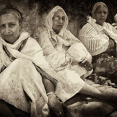 фото "Pilgrims"