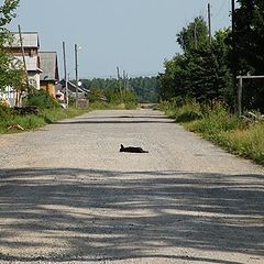 фото "Полуденный зной"