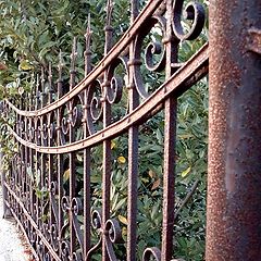 фото "rusty old fence"