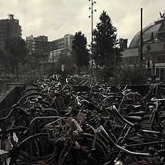 photo "***"
