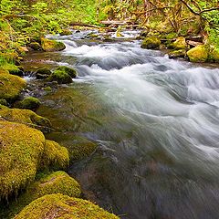 photo "Rapids"