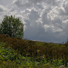photo "***"
