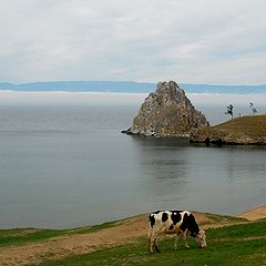 фото "Дела морские, дела мирские"