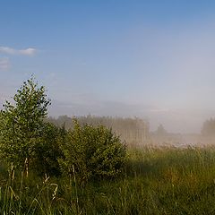 фото "Чуть-чуть тумана"