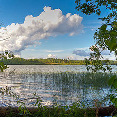 фото "Пейзаж в рамке"