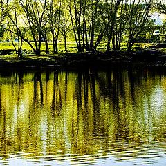 фото "Городские ...(...отражения)"